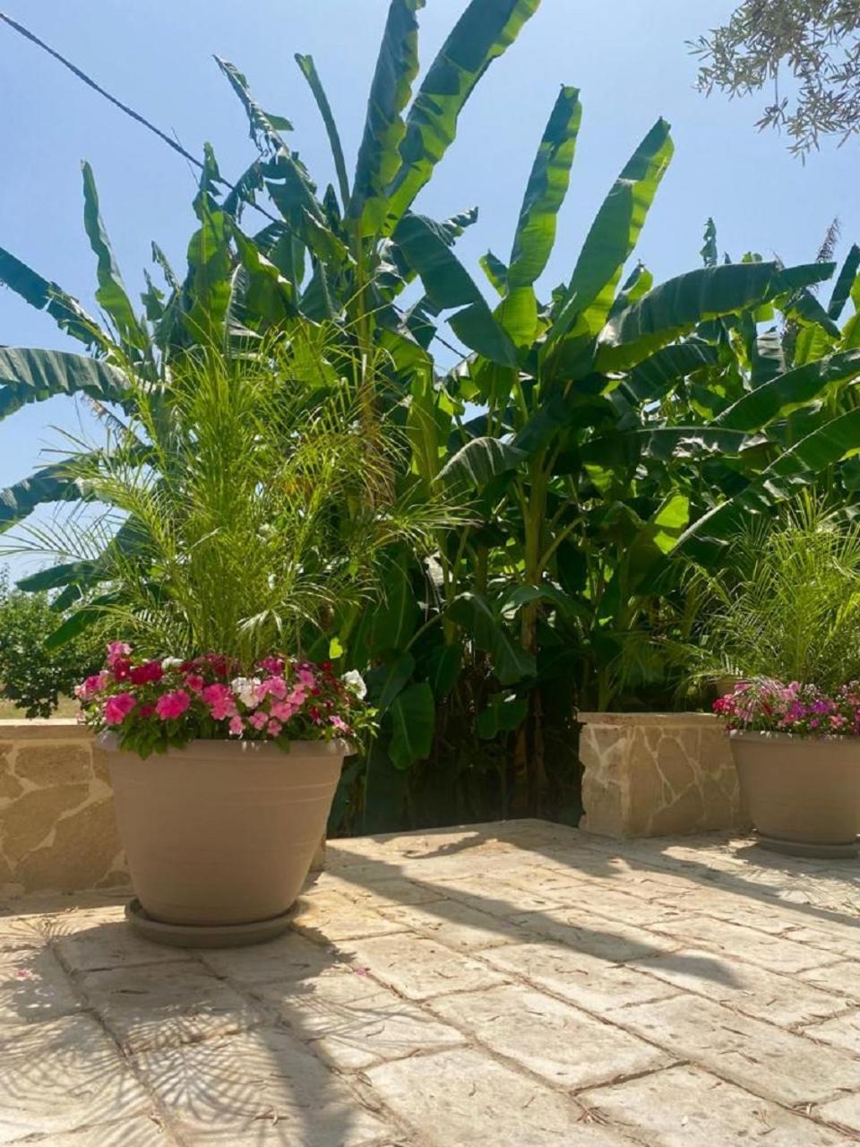 B&B Le Balate Augusta Exterior photo